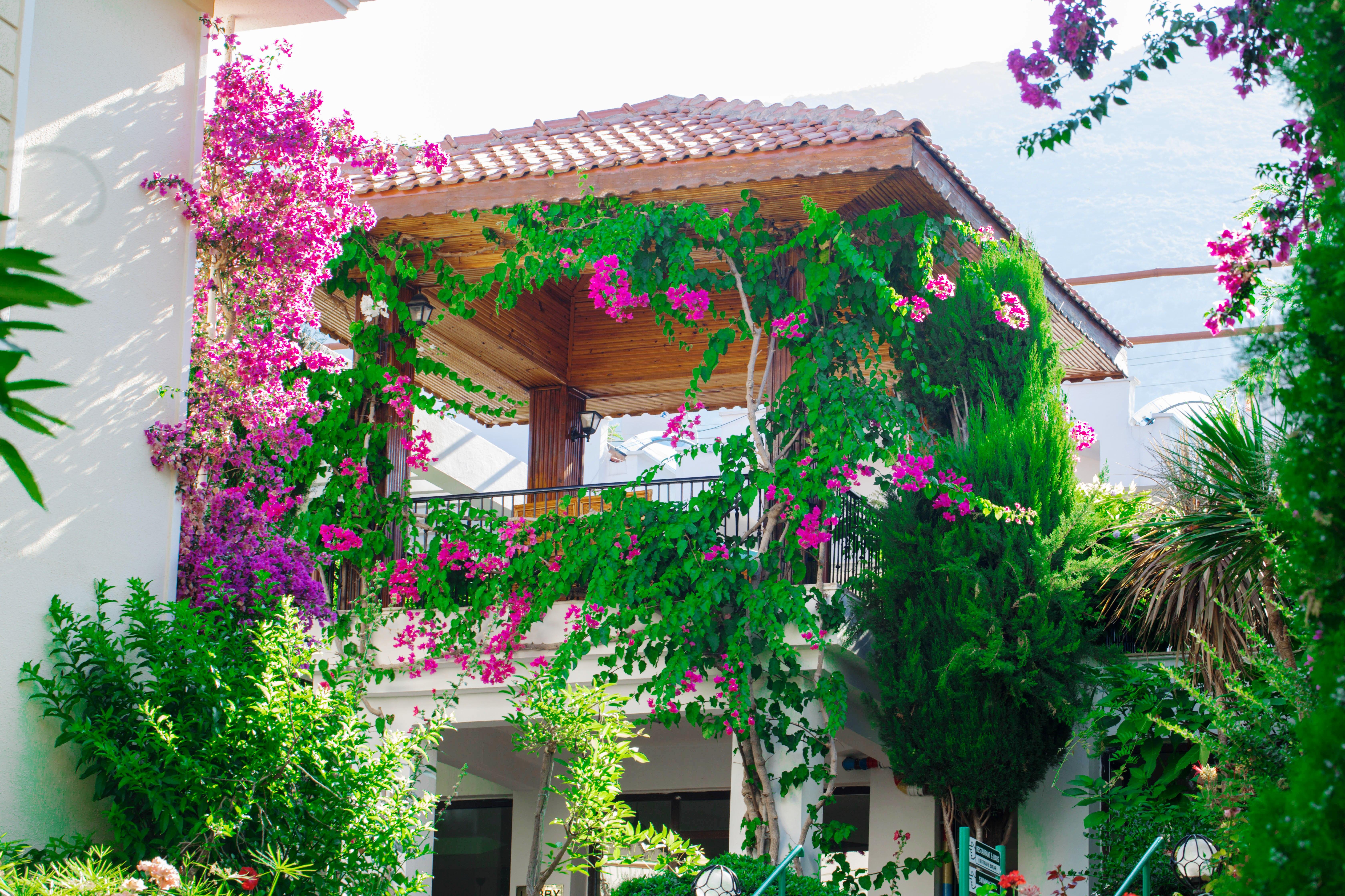 Yel Holiday Resort Öludeniz Exteriör bild